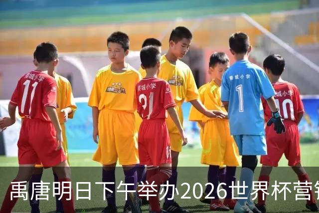 禹唐明日下午举办2026世界杯营销回顾总结直播专场，核心议程早知道