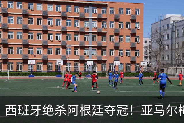 西班牙绝杀阿根廷夺冠！亚马尔梅西亲签球衣京东拍卖1元起拍