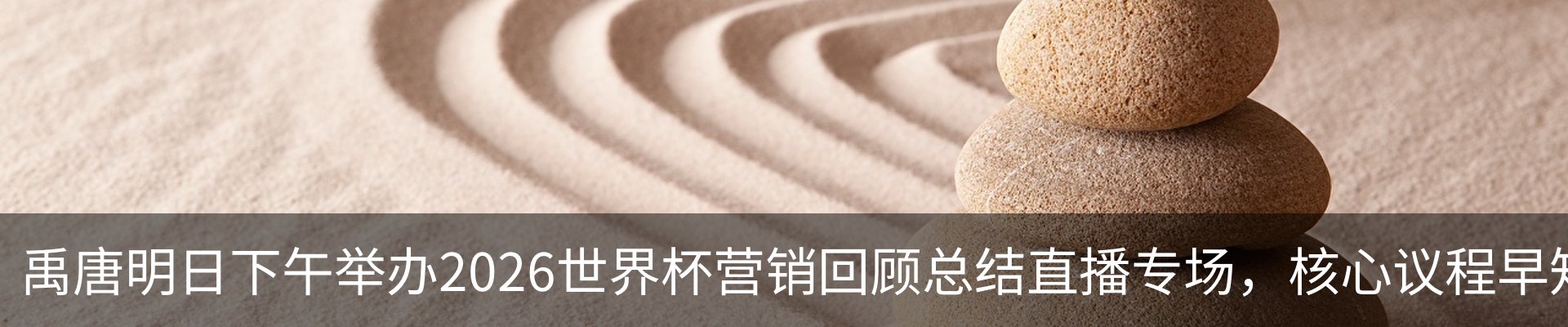 最新动态